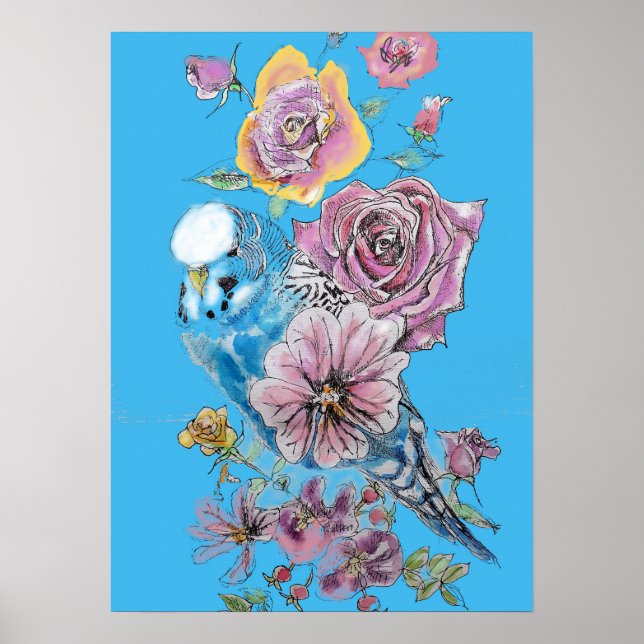 Poster d'art de l'aquarelle Blue Budgie Red Rose P (Devant)