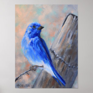 Poster d'art de Mountain Bluebird