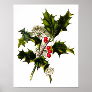Poster d'art de Noël #8 Christmas Holly Wall Art