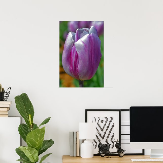 Poster d'art de Tulipe violette (Bureau à domicile)