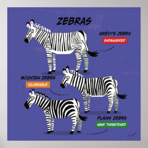Poster d'art des espèces Zebra v2