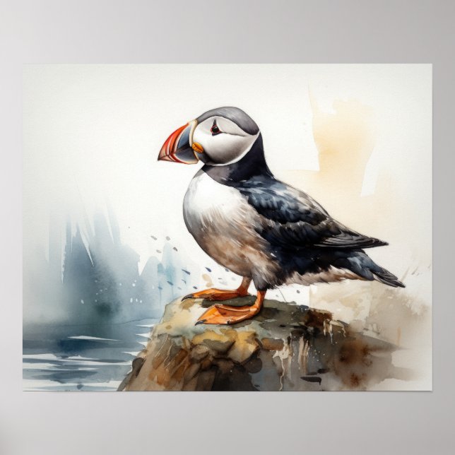 Poster d'art d'Oiseaux de macareux de l'Atlantique (Devant)