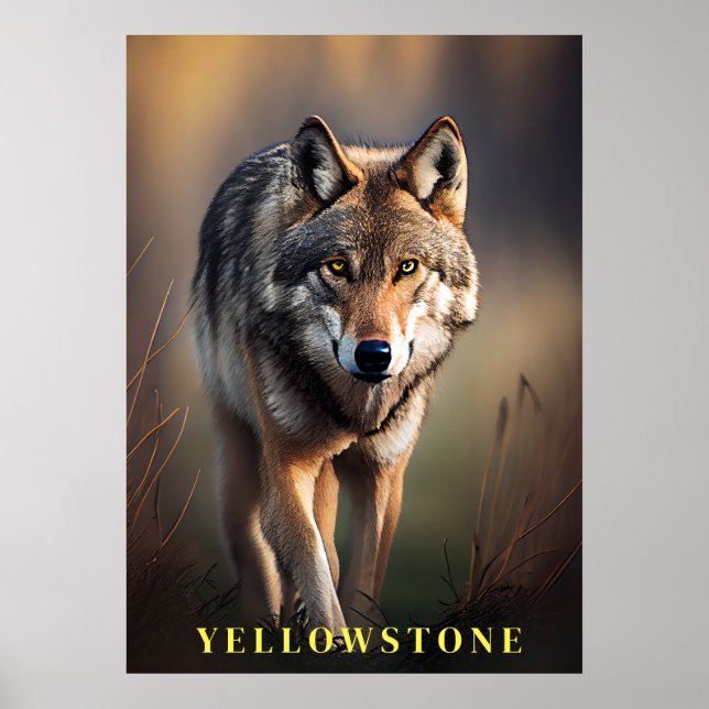 Poster d'art du loup de Yellowstone (Devant)