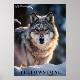 Poster d'art du loup de Yellowstone
