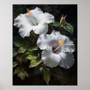 Poster d'art en Hibiscus blanc
