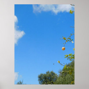 POSTER D'ART ET DE CONCEPTION