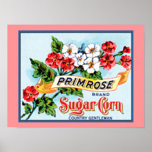Poster d'art Étiquette Vintage Fleurs de Primrose