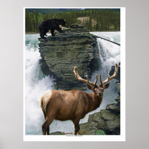 Poster d'art faunique Elk & Black Bears
