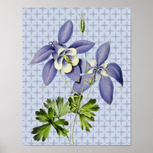 Poster d'art floral de la Columbine vintage