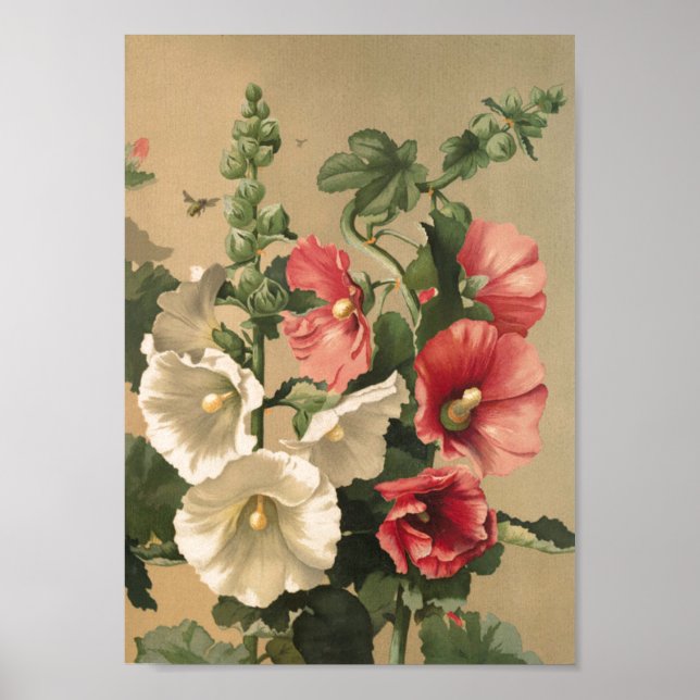 Poster d'art Hollyhocks vintage (Devant)