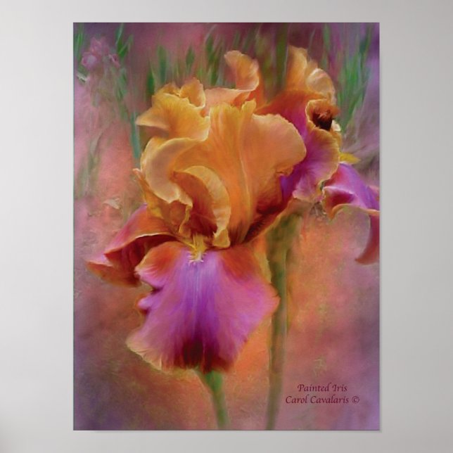 Poster d'art Iris Peint / Imprimer (Devant)
