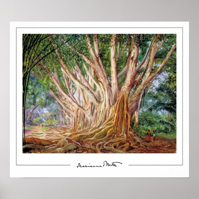 Poster d'art Marianne North Zedign #5 (Devant)