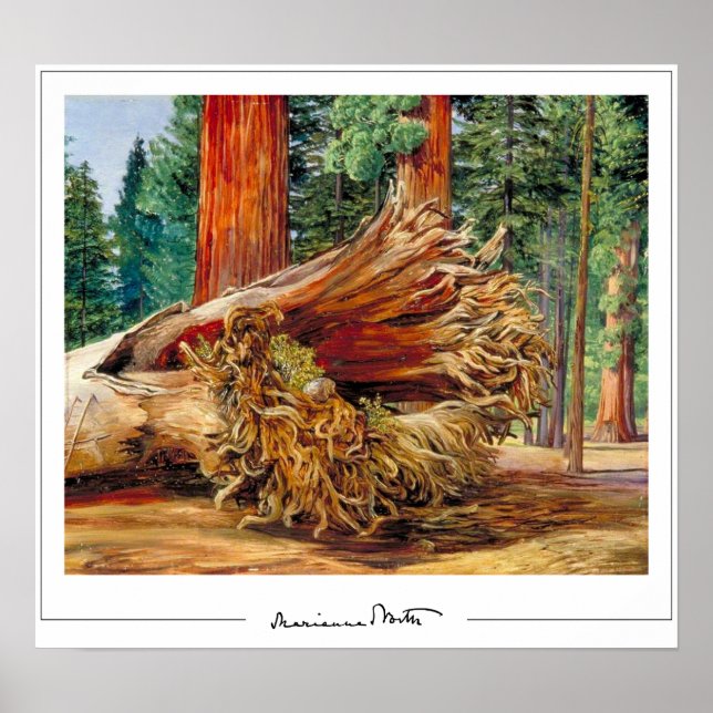 Poster d'art Marianne North Zedign #7 (Devant)