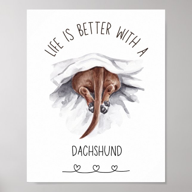 Poster d'art mural Dachshund Fun (Devant)