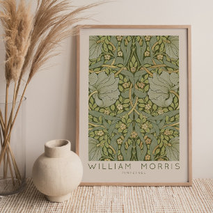 Poster d'art mural William Morris Pimpernel