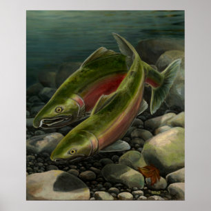 Poster d'art nature Coho Saumon Pêche Art Imprimer
