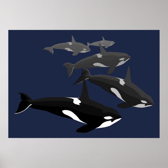 Poster d'art orca Whale Killer Whale Art Prints Ca (Devant)