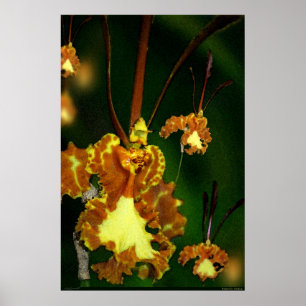 Poster d'art orchidée papillon -24x36 -autres tail
