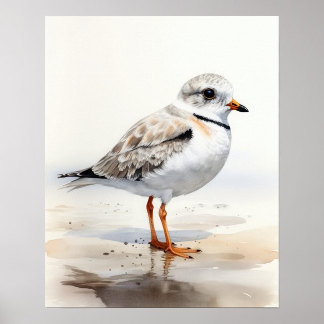 Poster d'art ornithologique de tuyauterie (Devant)