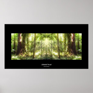 Poster d'art photo de la lumière solaire mystique