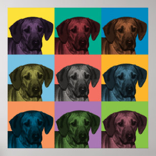 Poster d'art pop de Rhodesian Ridgeback