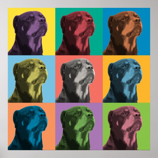 Poster d'art pop Rottweiler (Devant)