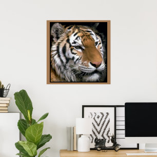 Poster d'art pour les amateurs de tigres