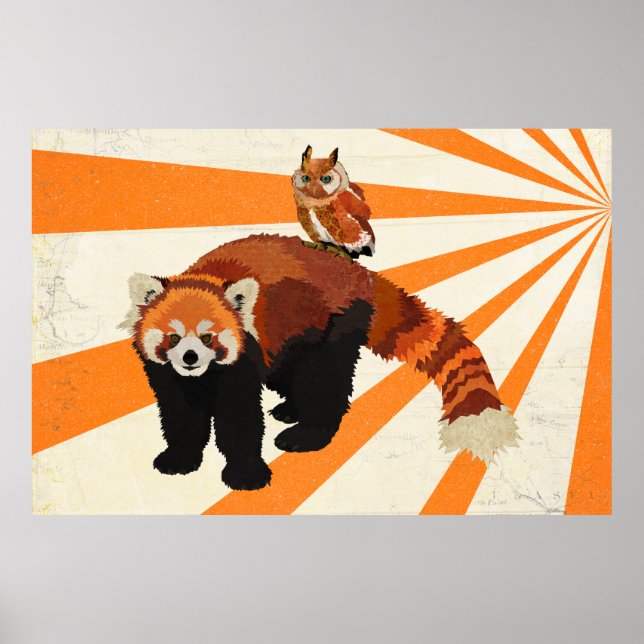 Poster d'art Red Panda & Owl (Devant)