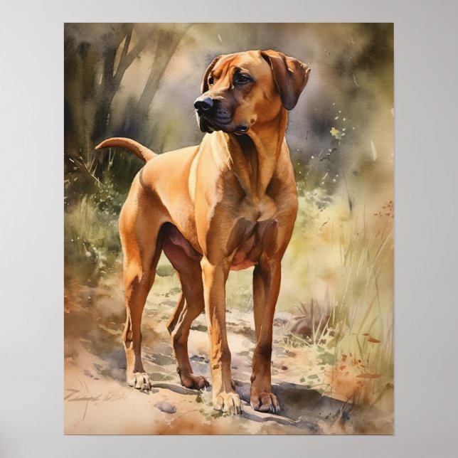 Poster d'art Rhodesian Ridgeback Dog (Devant)