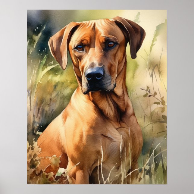 Poster d'art Rhodesian Ridgeback Dog (Devant)