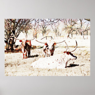 Poster d'art rustique Texas Longhorn Cow