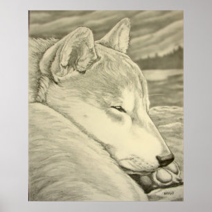 Poster d'art Shiba Inu Poster d'art Chien Shiba In