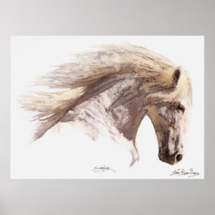 Poster d'art SILVERWIND (aquarelle)