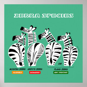 Poster d'art sur les espèces Zebra