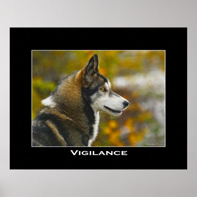 Poster d'art VIGILANCE Grey Wolf (Devant)
