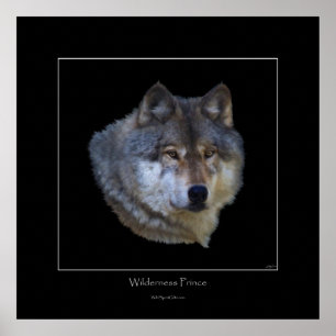 Poster d'art Wild Grey Wolf