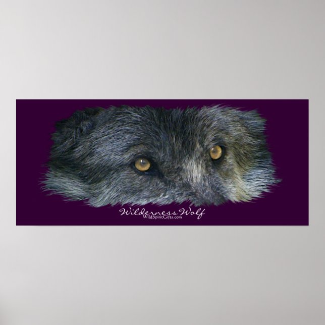 Poster d'art Wilderness Wolf Eyes (Devant)