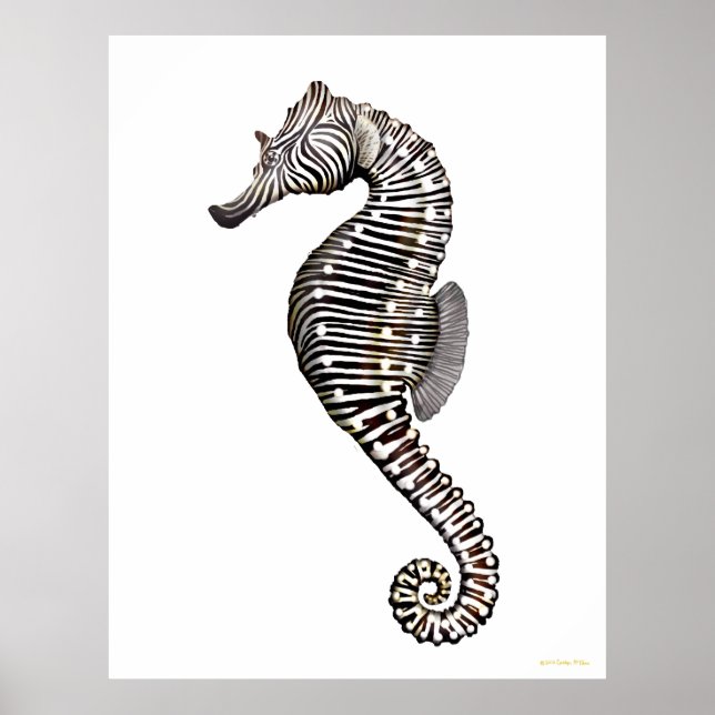 Poster d'Art Zebra Seahorse (Devant)