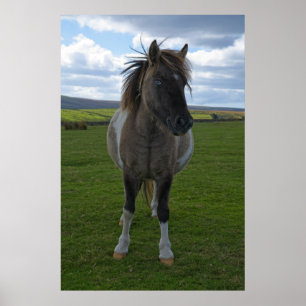 Poster Dartmoor bleu