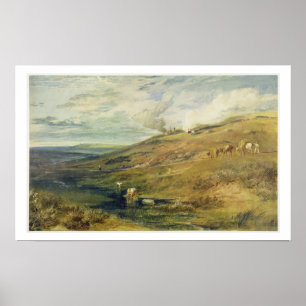 Poster Dartmoor : La source du Tamar et de la Torridge