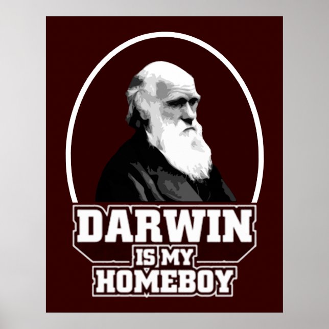 Poster Darwin Est Mon Enfant (Devant)
