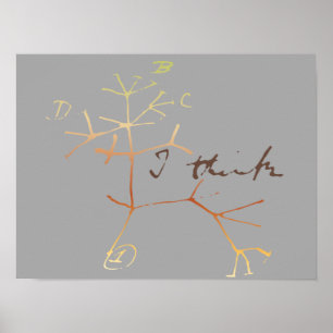 Poster Darwin, je pense à l'arbre de vie