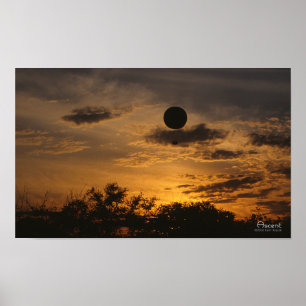 Poster d'Ascent