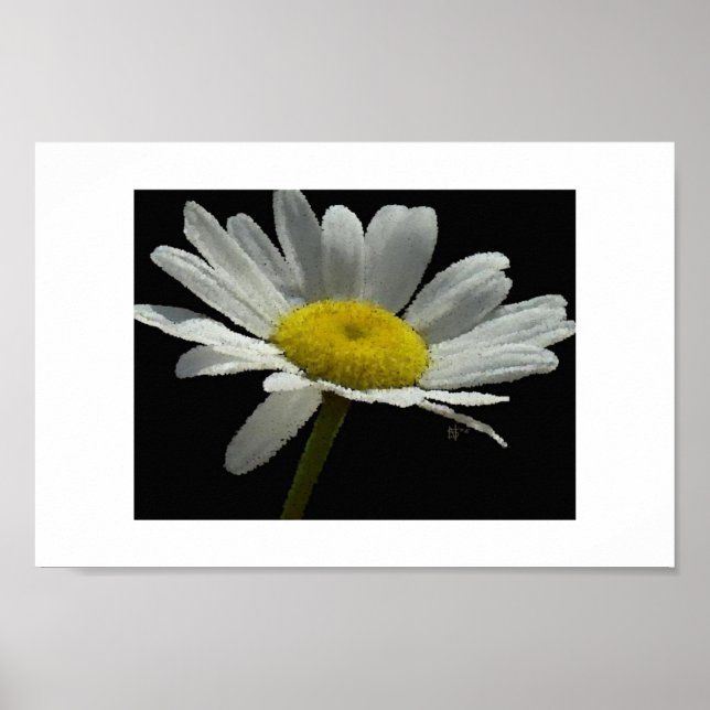 Poster Dasiy (Devant)