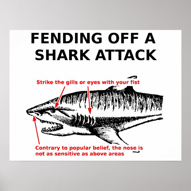 Poster d'attaque de requins (Devant)