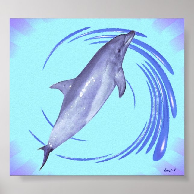 Poster Dauphin (Devant)