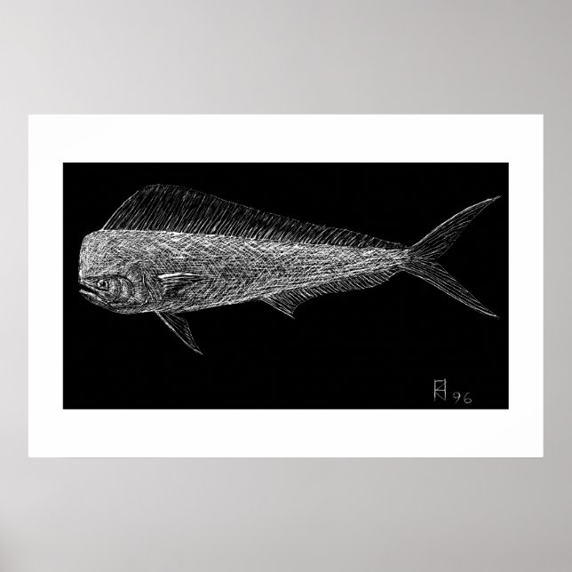 Poster Dauphin (Devant)