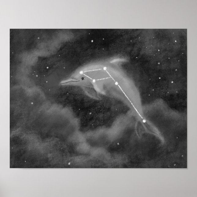 Poster dauphin Delphinus Constellation (Devant)