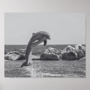 Poster Dauphin noir et blanc Tropical Printable Art