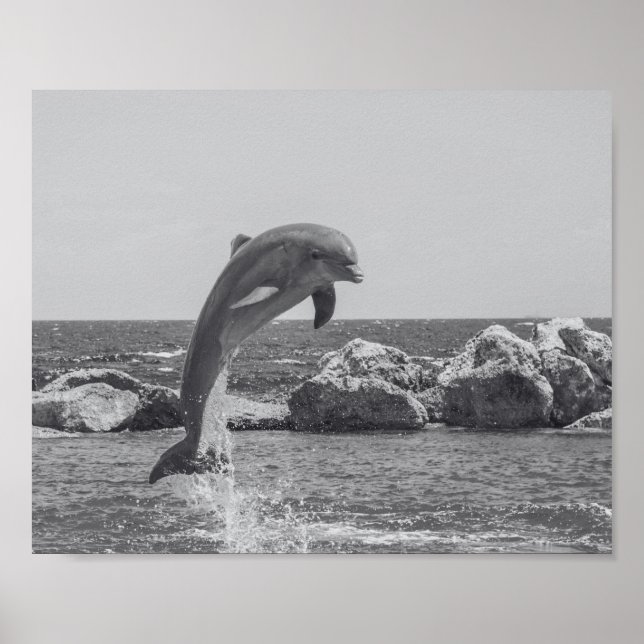 Poster Dauphin noir et blanc Tropical Printable Art (Devant)